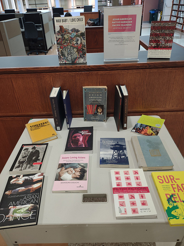 AANPI display table in the Reference Commons.