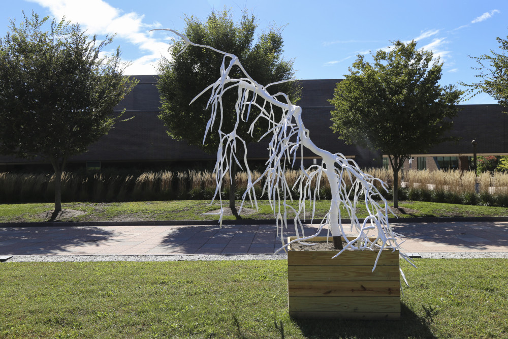 Transpire, an art installation of plastic-wrapped trees by Eliza Evans MFA '17 (visual arts) was selected for the 2017-18 President's Awa...
