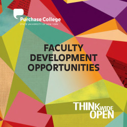 Faculty Development Opportunities brochure cover
