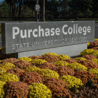 Purchase College sign at front with orange and gold mums.