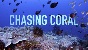 Chasing Coral documentary still