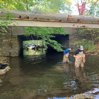 Two dedicated students out in Blind Brook assessing nutrient content, temperatures, and dissolved solids, potentially a result of our nei...