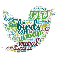 Word cloud for this group's project looking at bird flight initiation distances