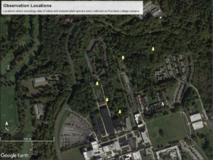 Photo shows locations we observed on campus