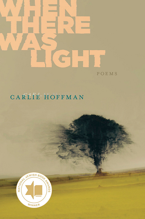 When There Was Light book cover