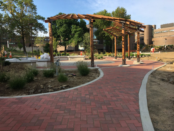 View looking towards new pergola