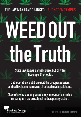The law may have changed, but not on campus. Weed out the Truth! State law allows cannabis use, b...