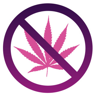 No Marijuana