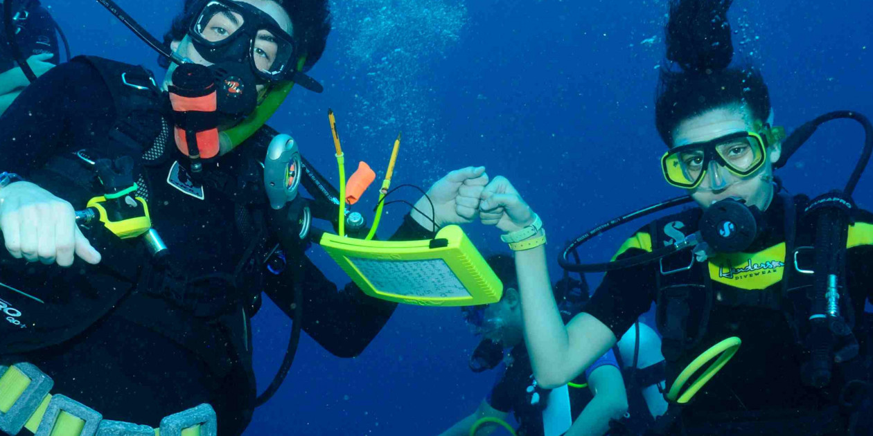 Coral Reef Biology and Ecology - Roatán, Honduras • Office for Global ...