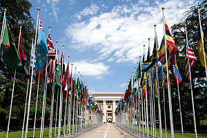 World Flags at UN