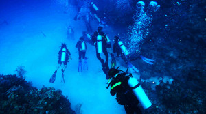 Students scuba diving in Roatan, Honduras