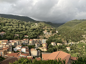 Trees and homes in Pisciotta, Italy