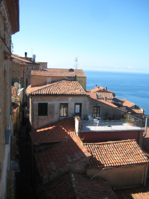 Pisciotta roofs