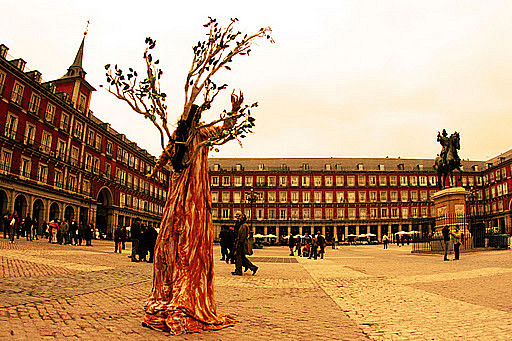 Tree man in Plaza Mayor, Spain