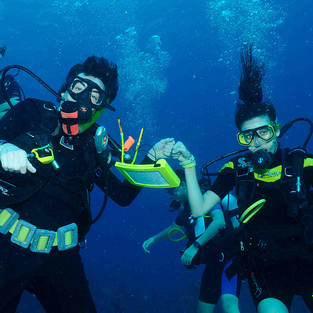 Coral Reef Biology and Ecology - Roatán, Honduras • Office for Global ...