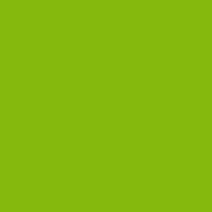 Transfer Path: Acid Green