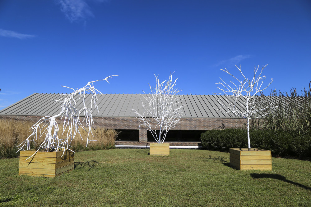 Transpire, an art installation of plastic-wrapped trees by Eliza Evans MFA ?17 (visual arts) was ...