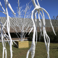 Transpire, an art installation of plastic-wrapped trees by Eliza Evans MFA '17 (visual arts) was ...