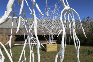 Transpire, an art installation of plastic-wrapped trees by Eliza Evans MFA '17 (visual arts) was selected for the 2017-18 President's Awa...
