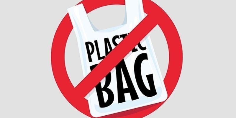 Plastic on sale bag ban