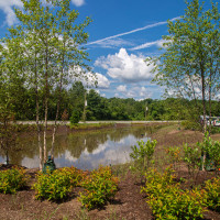 Bioswale in the West 1 Parking Lot