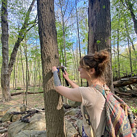 Morgan DeMay installing trail markers on the Blue/Alumni Trail at Purchase College