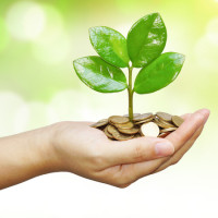 hand holding a young tree growing on coins