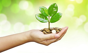 hand holding a young tree growing on coins