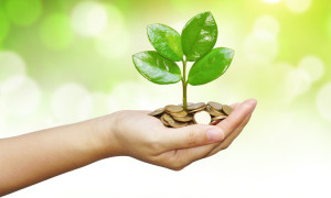 hand holding a young tree growing on coins