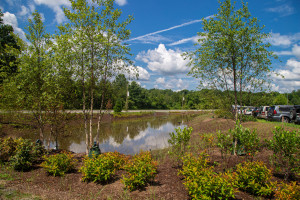 Bioswale in the West 1 Parking Lot