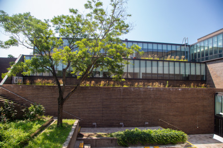 Visual Arts Green Roofing