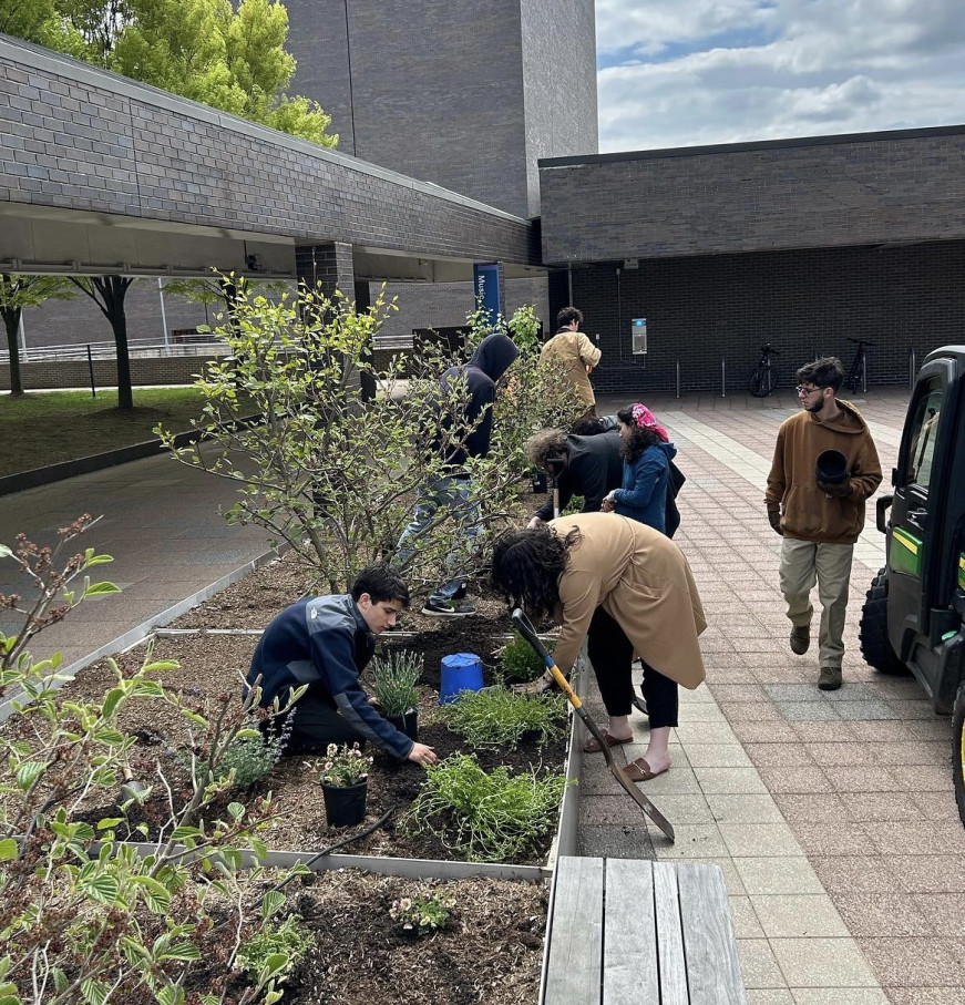 Employees and students planting perennials outside of the Music building.