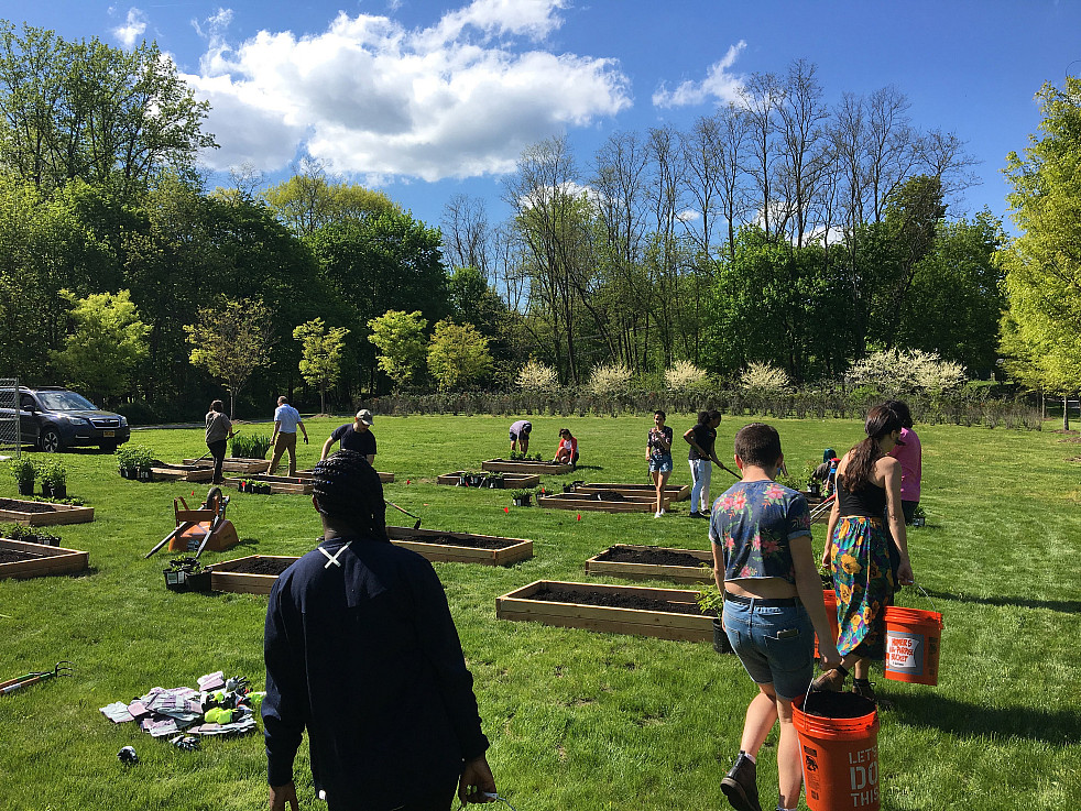 Students working in the beginning stages of the Native Plant Garden