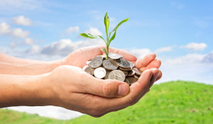 Plant growing from coins in a person's hand