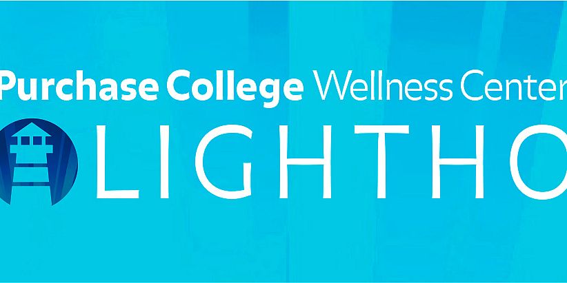 lighthouse program application lighthouse program application