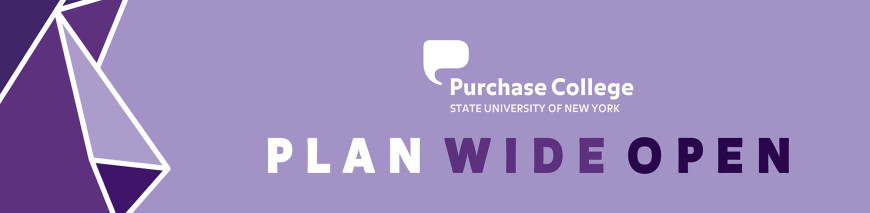 purple backgroound with diamond design to the left with Plan Wide Open
