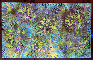 Tom Bisogno - painting