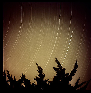 Paula Kelly - Photography