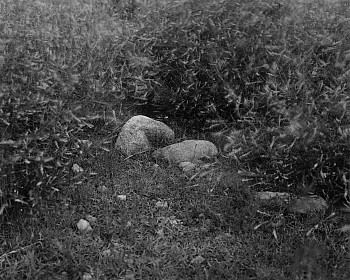 Black and white photo of three large rocks surrounded by dense, blurred grass and foliage, creating a soft, misty effect. The scene appears