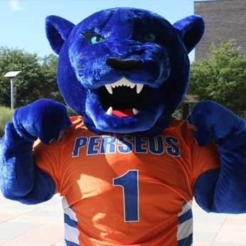 Life After Being A Purchase Panther Alumni Purchase College