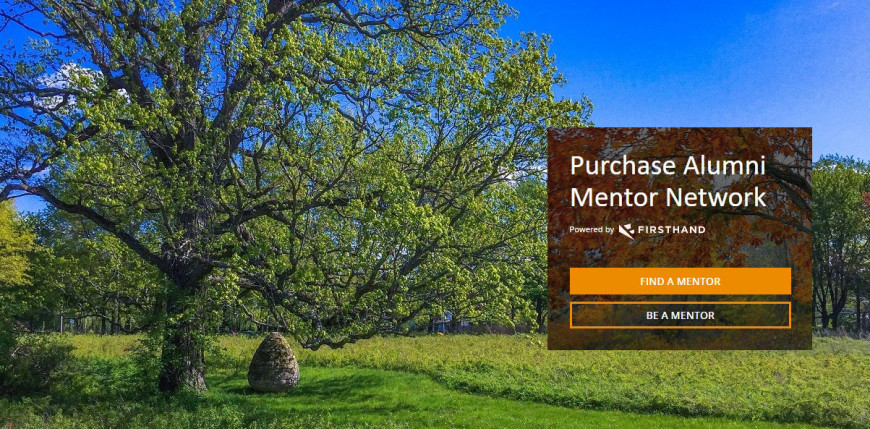 Firsthand Alumni Mentor Network Purchase College Mentor Network