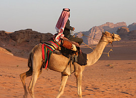 Bedouin and camel in desert
