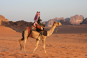 Bedouin and camel in desert