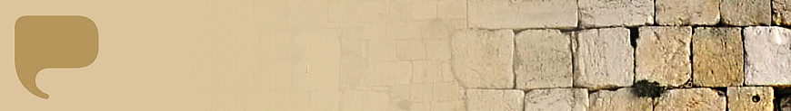 Jewish Studies Banner No Text