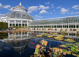 The New York Botanical Garden