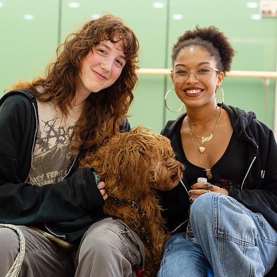 CAMPUS LIFE PURCHASE COLLEGE visual data 5