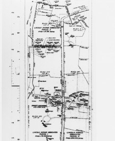 Land Survey 1966 Purchase College