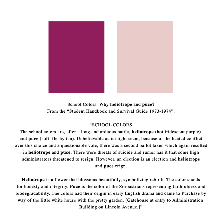Purchase School Colors heliotrope and puce