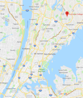 Google map of NY metro area around Purchase