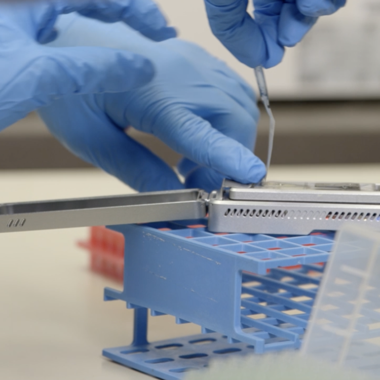 hands in blue rubber gloves using a benchtop data sequencer